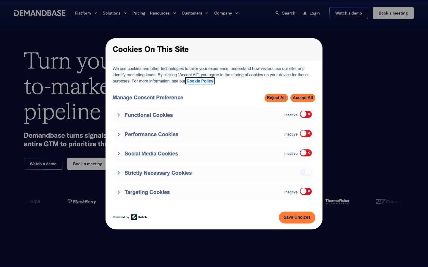 Demandbase homepage with Turn your pipeline tagline and customer logos including BlackBerry and ThermoFisher