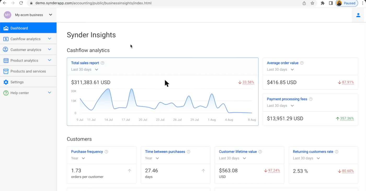 Synder Insights dashboard showing cashflow analytics, total sales report chart and customer metrics