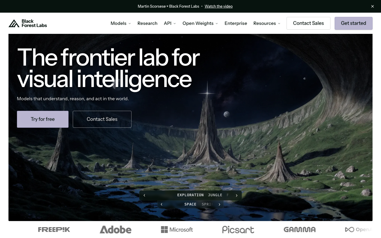 Black Forest Labs homepage showing FLUX AI image model and API documentation