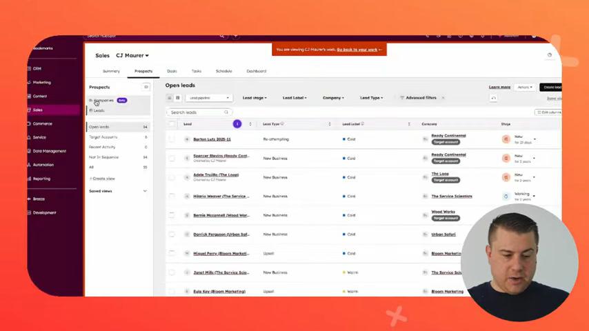 HubSpot Sales Hub open leads filtered by lead type in a sales pipeline view