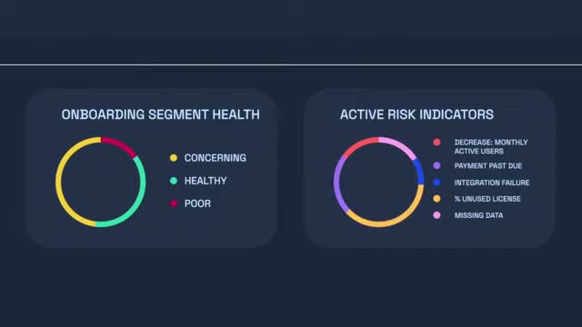 Vitally health scoring dashboard showing account health breakdown with multi-source signals and segment-level views