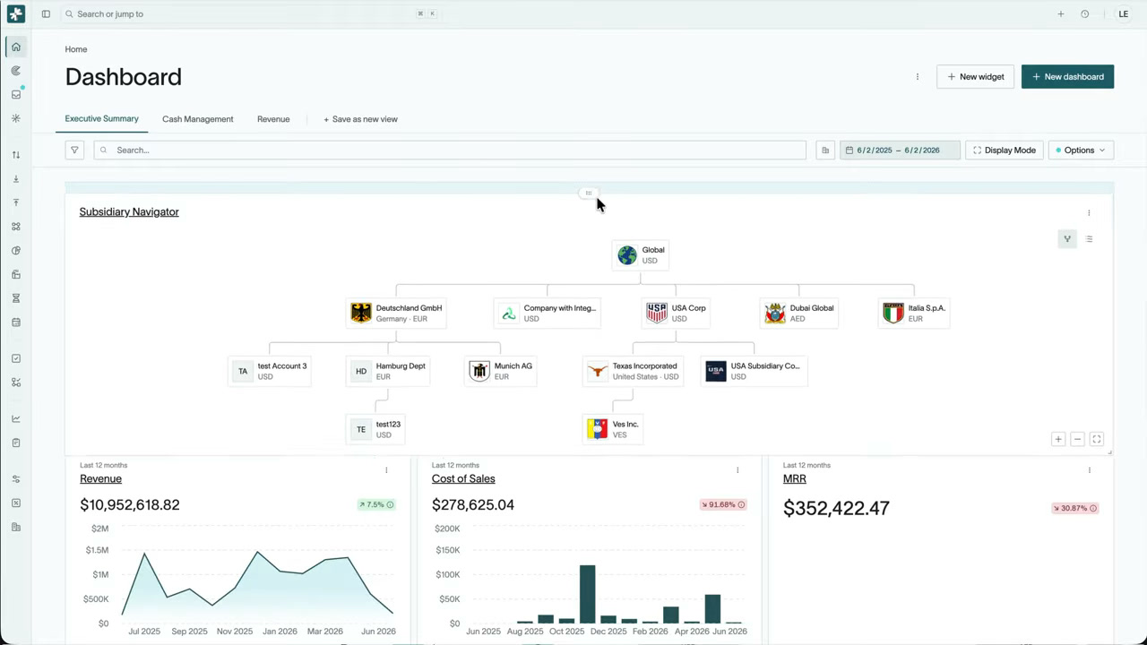 DualEntry dashboard showing revenue, cost of sales, and MRR metrics with cash and trend charts for a subsidiary