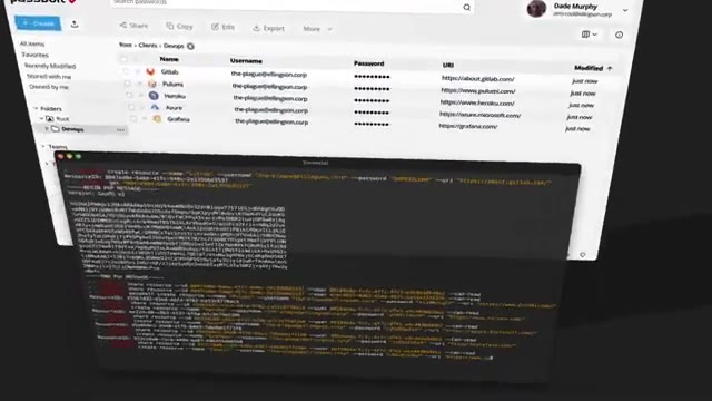 Passbolt password entry detail panel showing metadata and access history