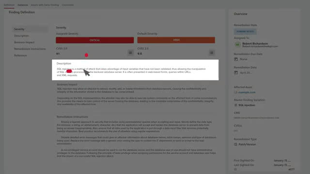 NetSPI Resolve finding definition page showing SQL injection severity, business impact, and remediation instructions