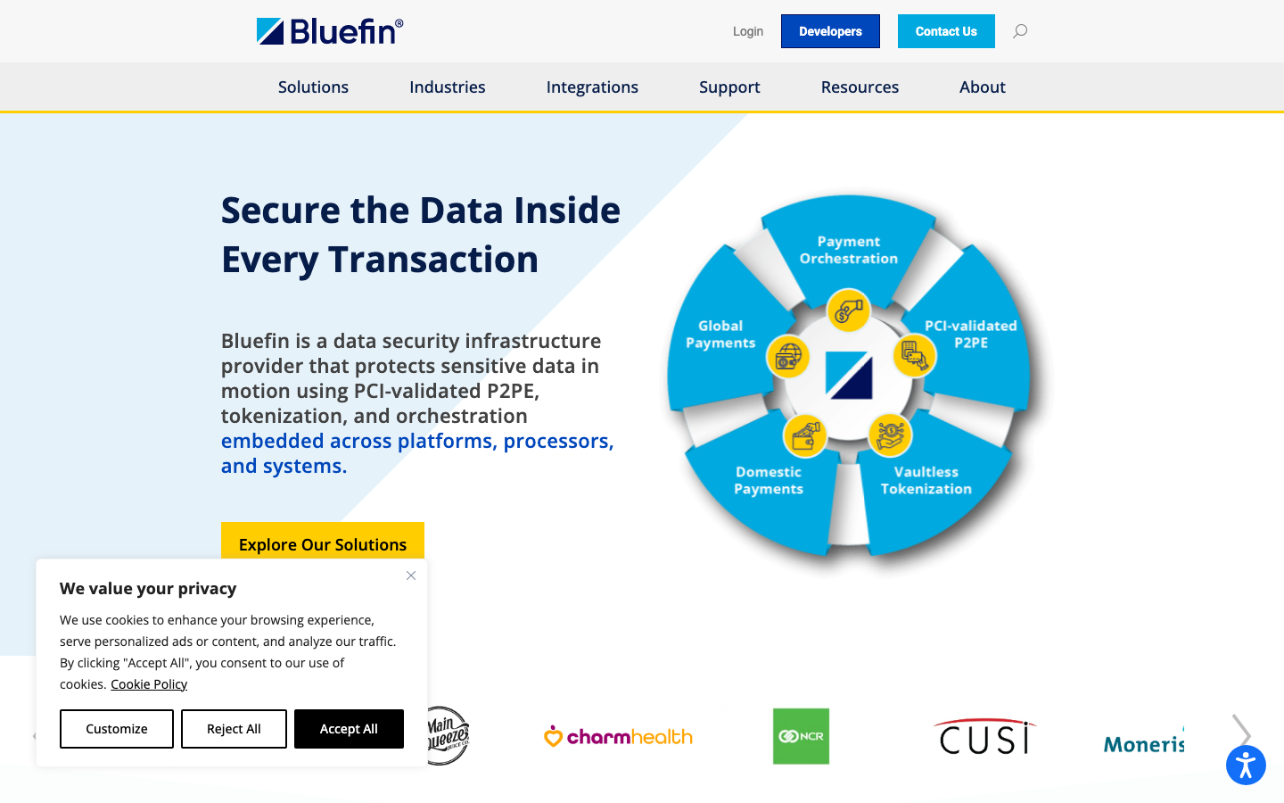 Bluefin homepage showing PCI-validated P2PE and PayConex gateway tokenization solutions