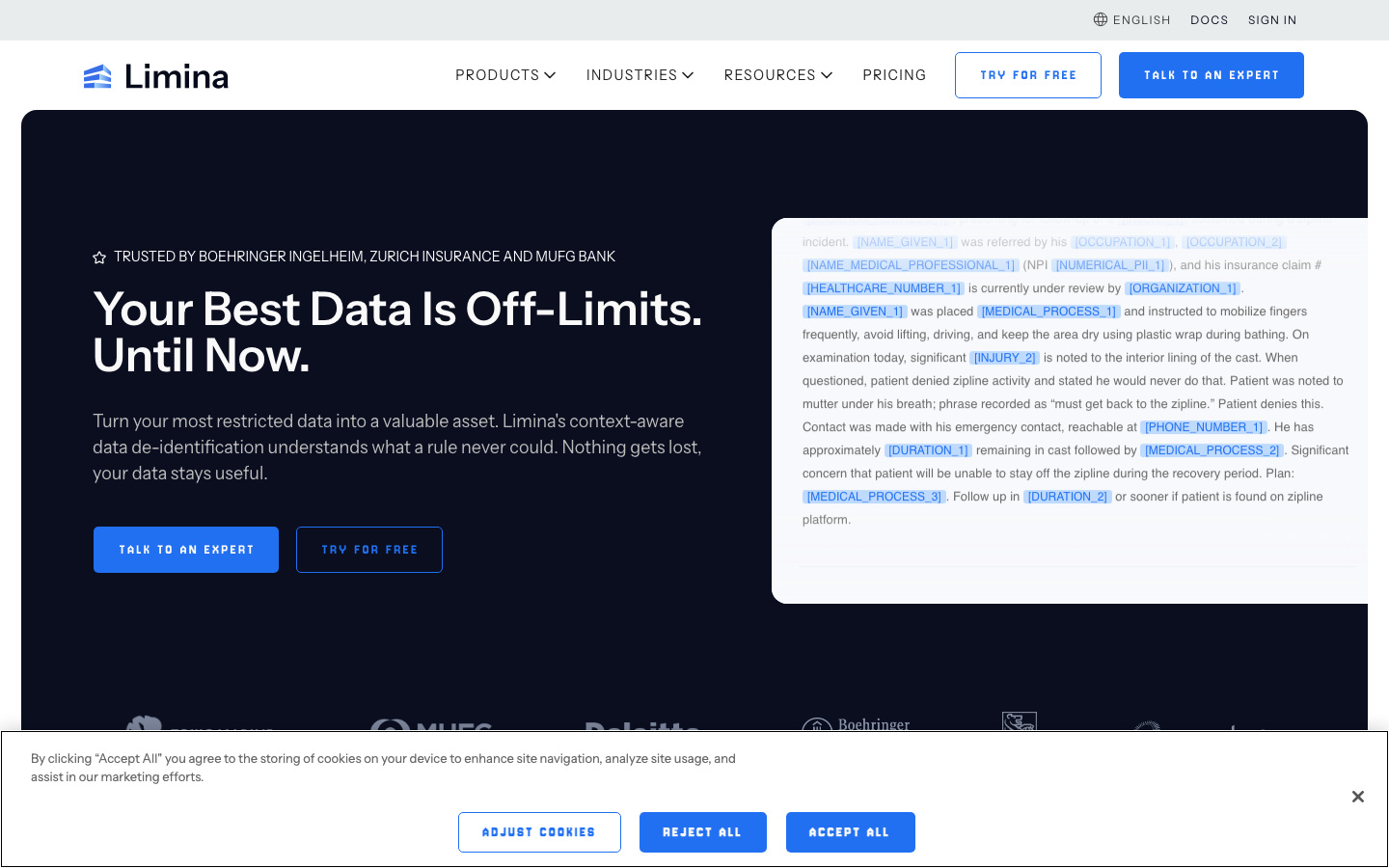 Private AI homepage showing PII detection API for text, audio, and document data types